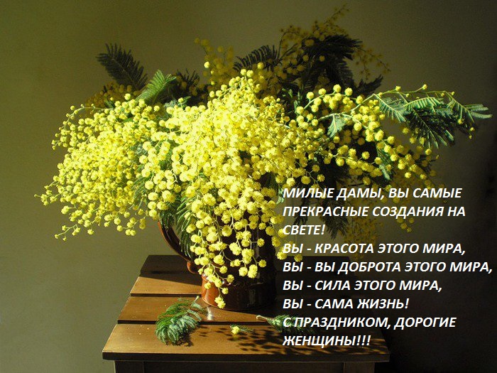 МИЛЫЕ ЖЕНЩИНЫ, ПОЗДРАВЛЯЕМ ВАС С 8 МАРТА!!!
