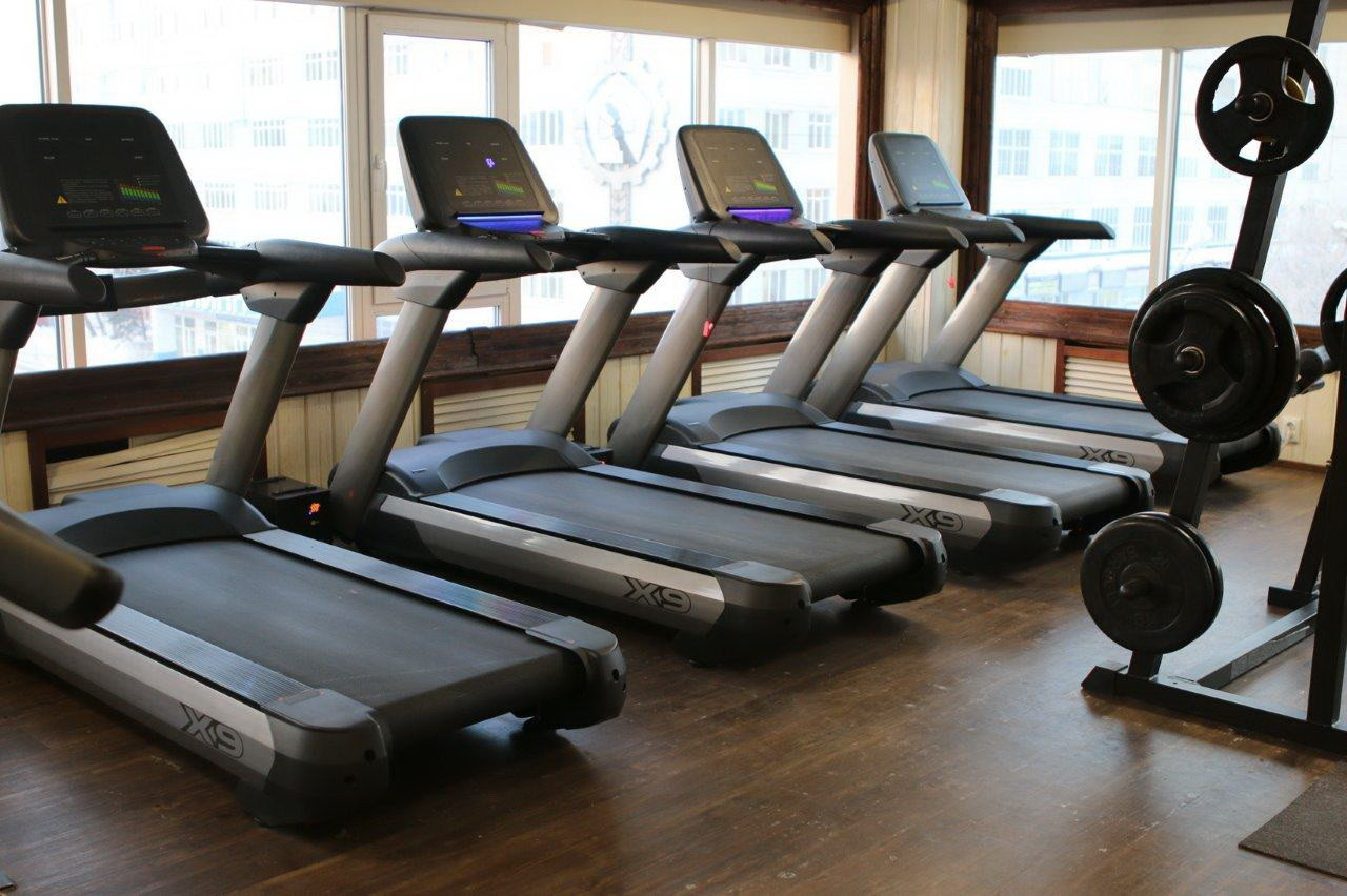 Профессиональная беговая дорожка SHUA SH-5918