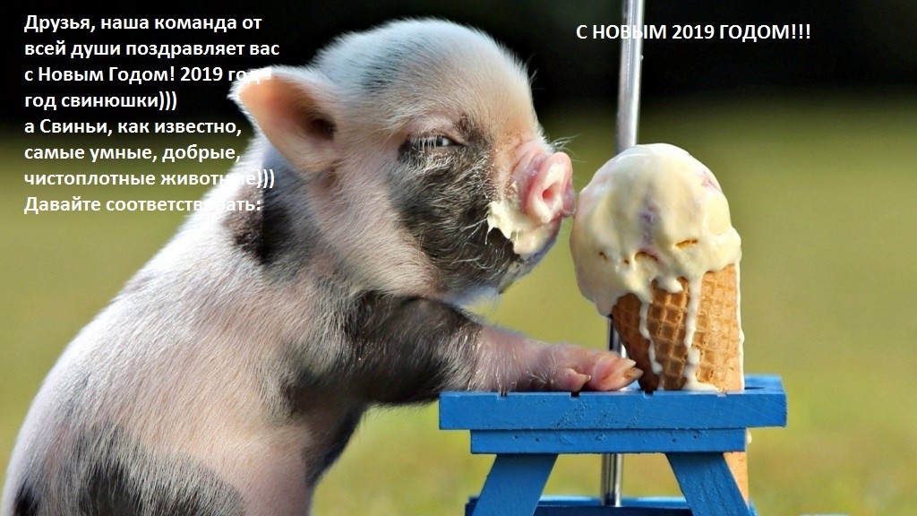 С НОВЫМ 2019 ГОДОМ!!!