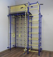 Спортивно-игровой комплекс Пионер 10С пурпурно/жёлтый