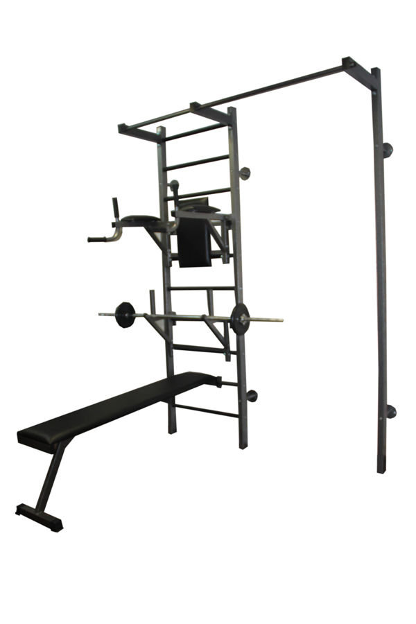 Спортивный комплекс на основе шведской стенки 60х40, AG42