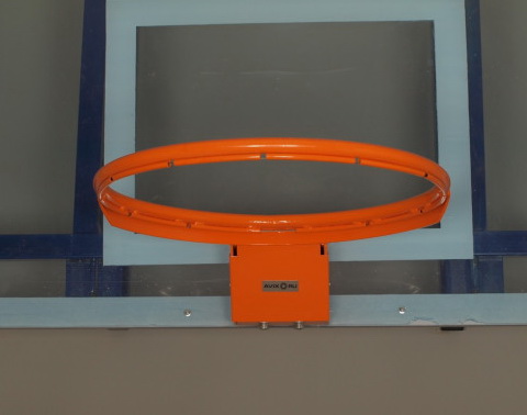 Кольцо баскетбольное амортизационное, проф. (01.307)