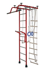 ДСК "Крепыш плюс" Т с навесным турником синий