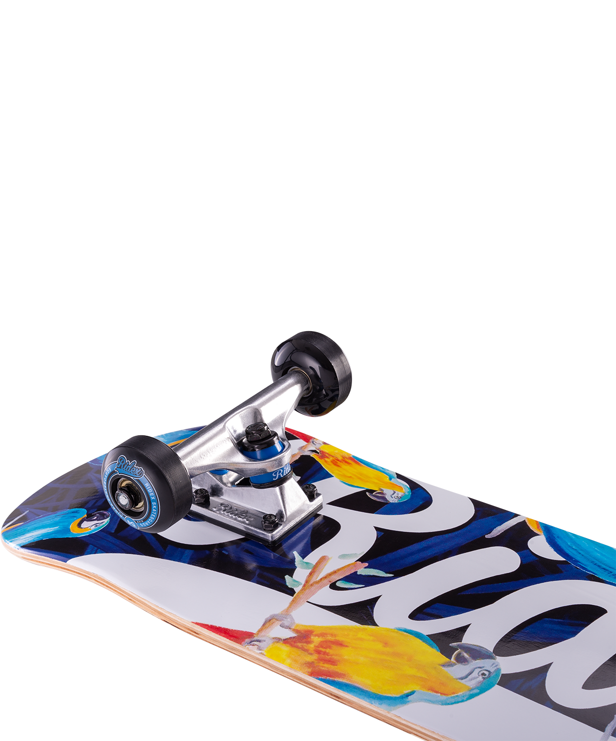 Скейтборд Arini 31.6''X8'', ABEC-5