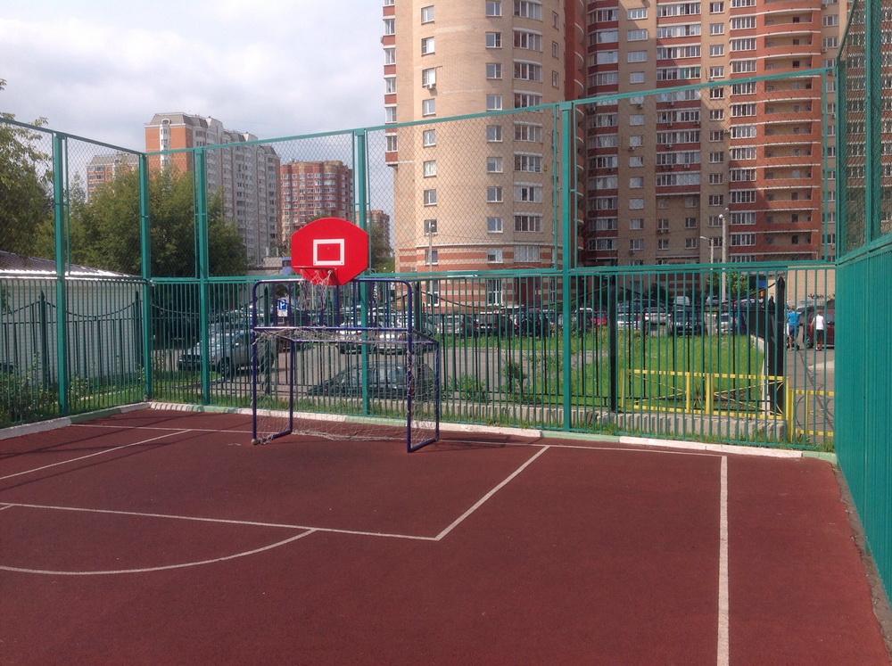 Хоккейные ворота со стритбольным щитом (17.103)