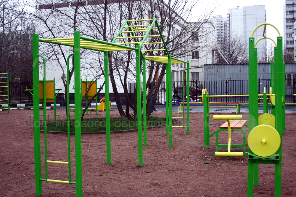 Рукоход ZION Курсант (СЭ056)