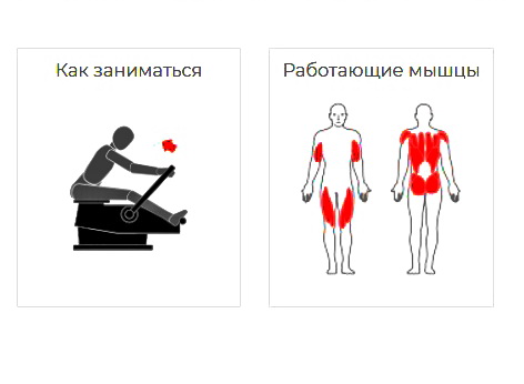 Тренажер уличный ГРЕБНОЙ Romana 207.51.05