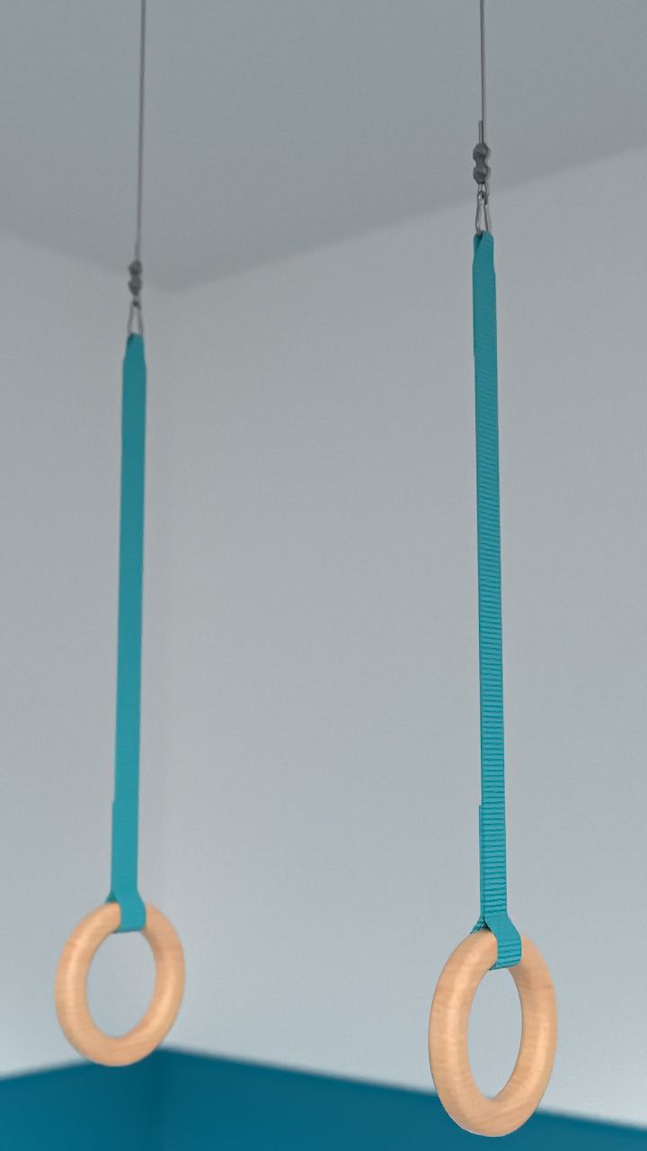 Кольца гимнастические d=180 мм с тросом (04.402.6, 04.402.5, 04.402.4)