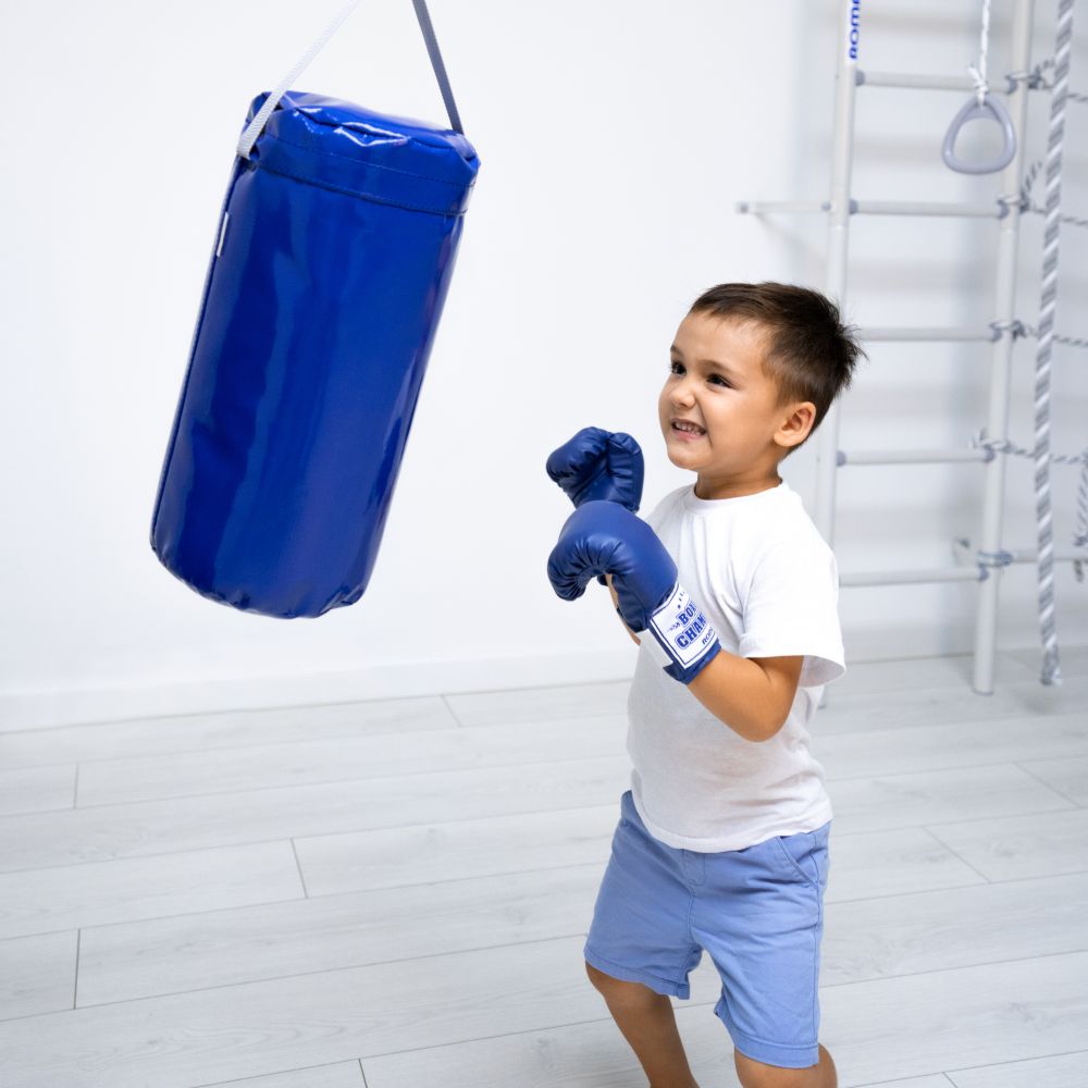 Мешок боксерский (5 кг) Romana ДМФ-МК-01.67.06