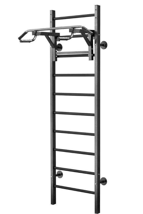 Металлическая шведская стенка 60х40, AG24