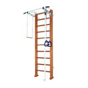 Детский спортивный комплекс Карусель 2Д.03.03 к стене Светлый