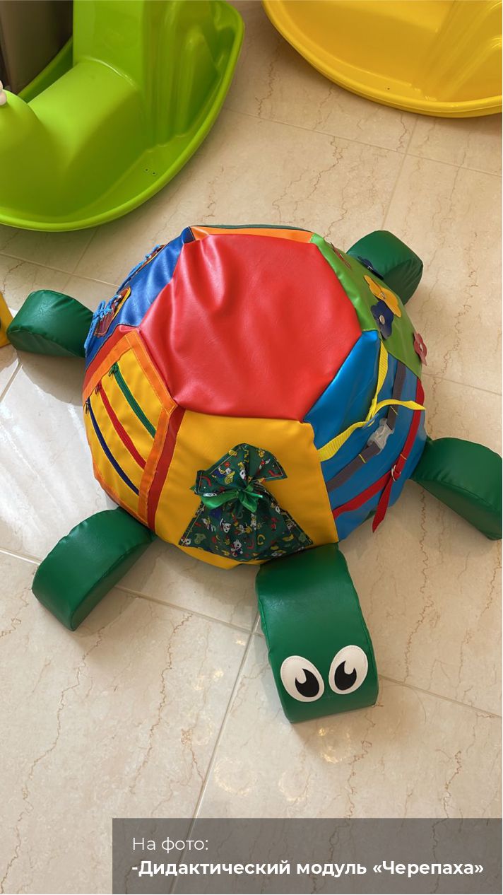 Дидактический модуль ЧЕРЕПАХА Romana (ДМФ-МК-01.95.07)