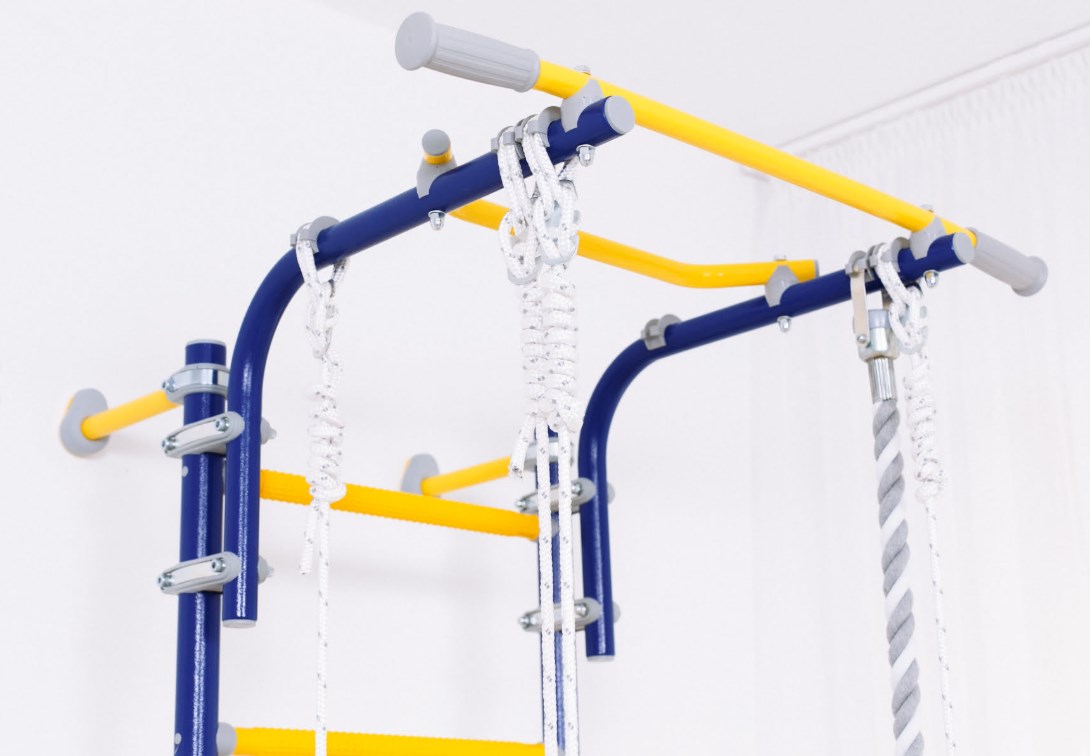 Шведская стенка Next Top ROMANA (01.21.8.06.490.03.00-24) синяя слива