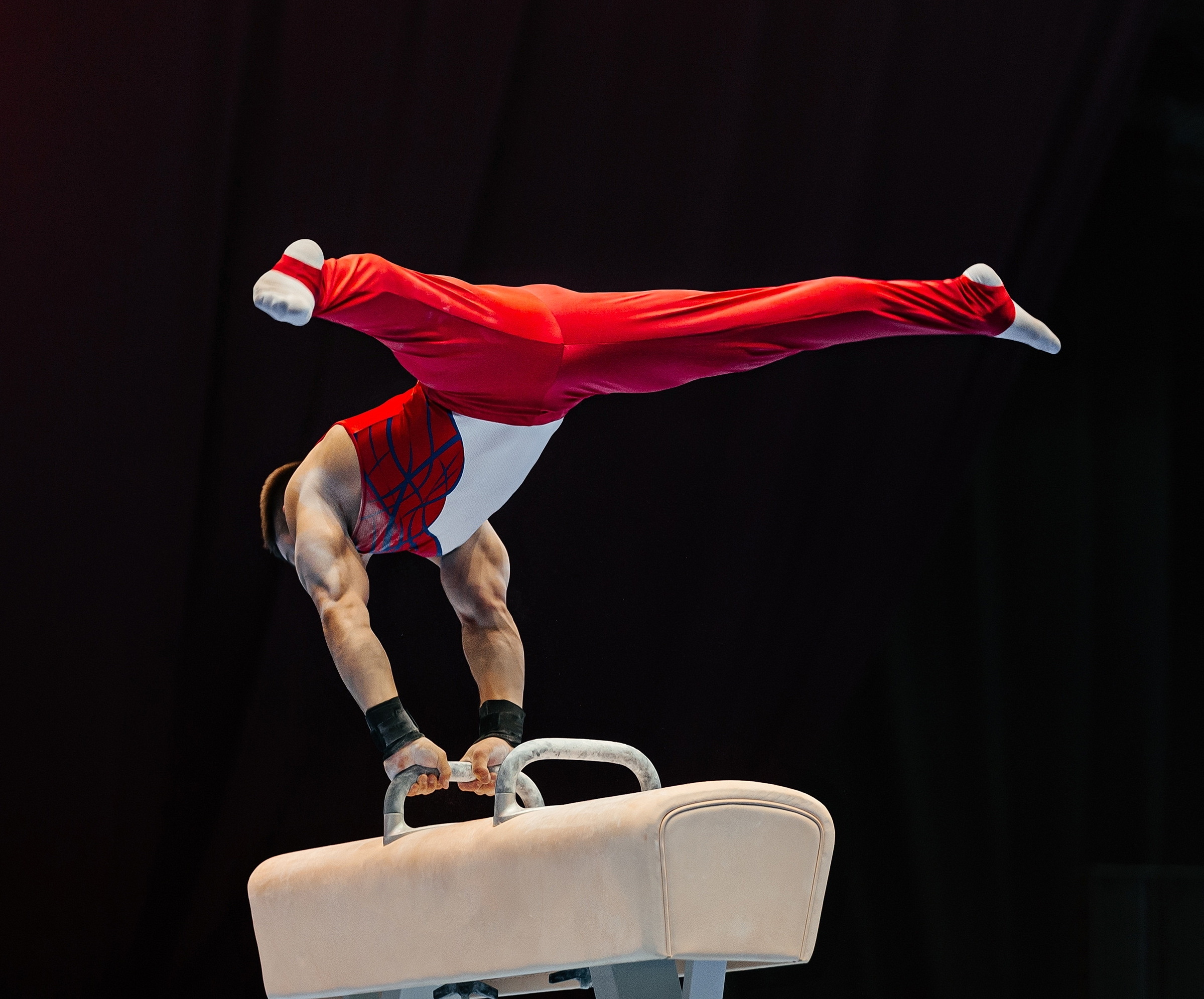 Мосты гимнастические, козел и конь