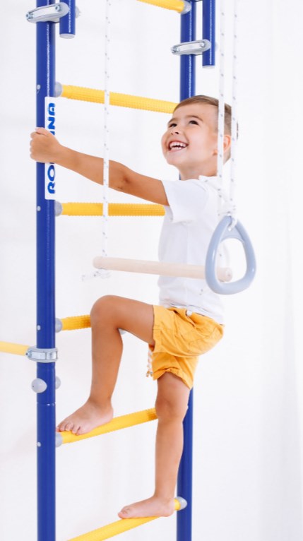 Шведская стенка Next Top ROMANA (01.21.8.06.490.03.00-24) синяя слива