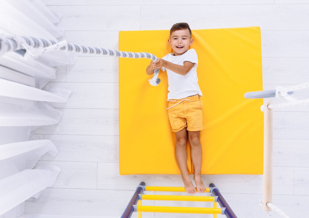 Шведская стенка Next Top ROMANA (01.21.8.06.490.03.00-24) синяя слива