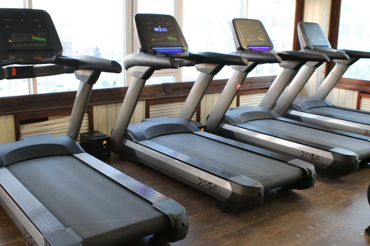 Профессиональная беговая дорожка SHUA SH-5918