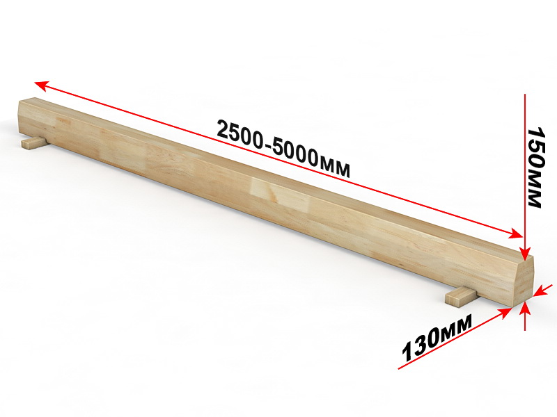 Бревно гимнастическое напольное (04.10.02)