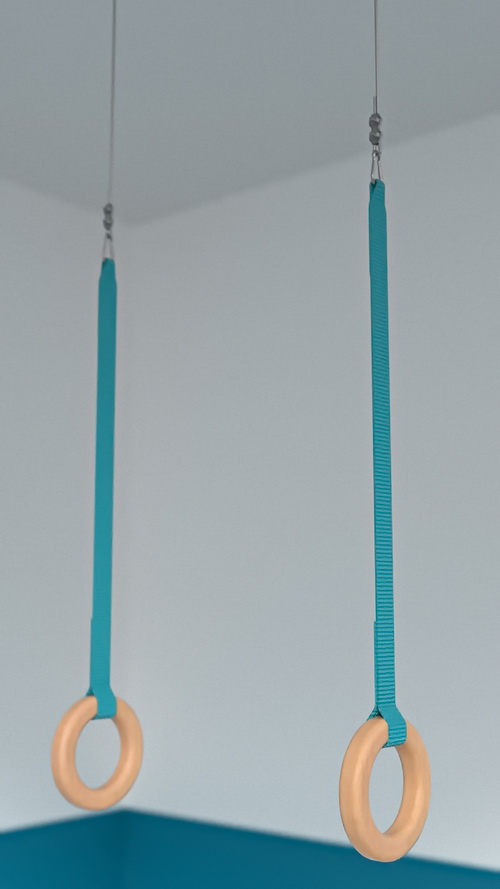 Кольца гимнастические d=165 мм с тросом (04.402.8 и 04.402.7​​)