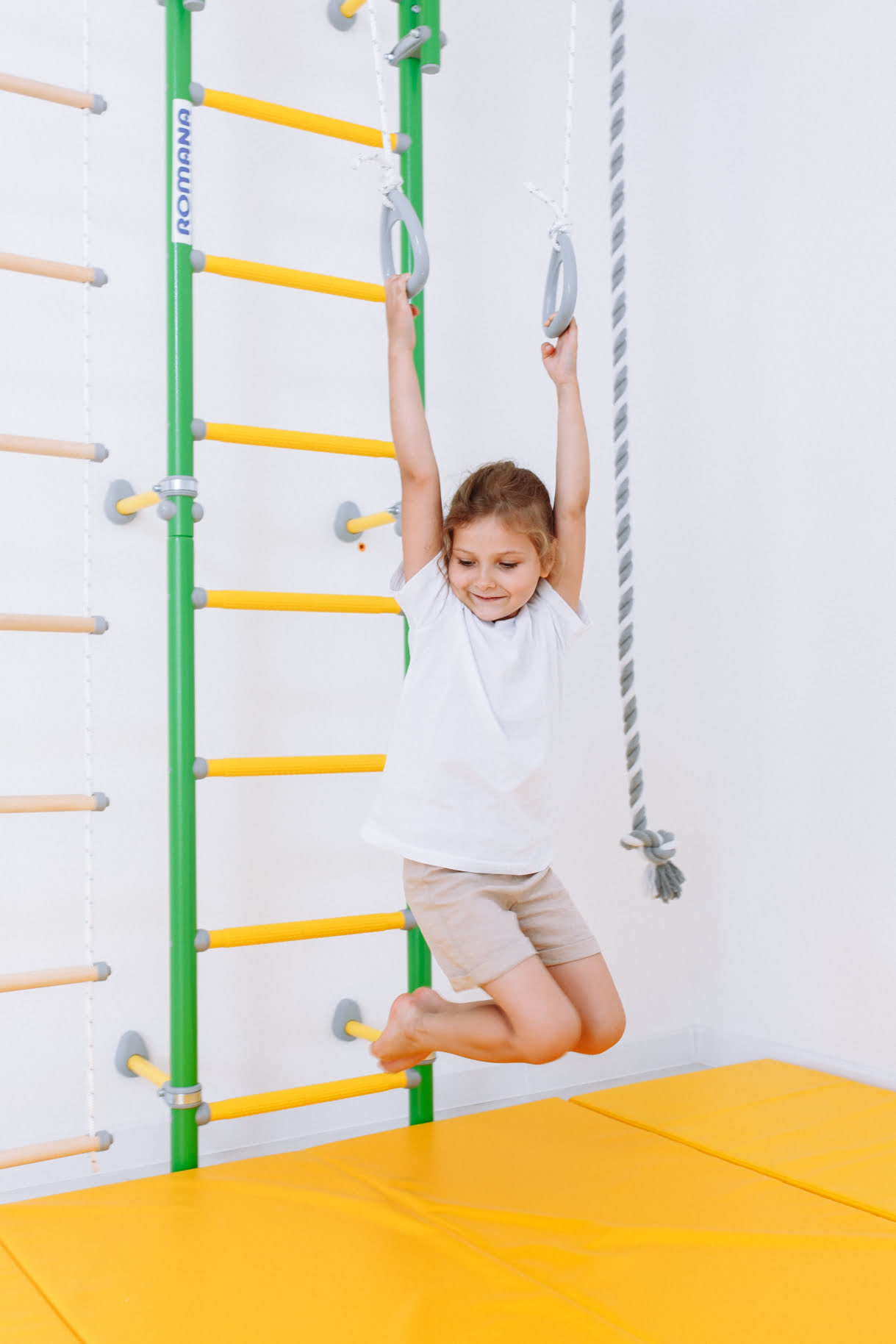 Шведская стенка S6 Karusel Romana(01.21.8.06.410.06.00-14) синяя слива