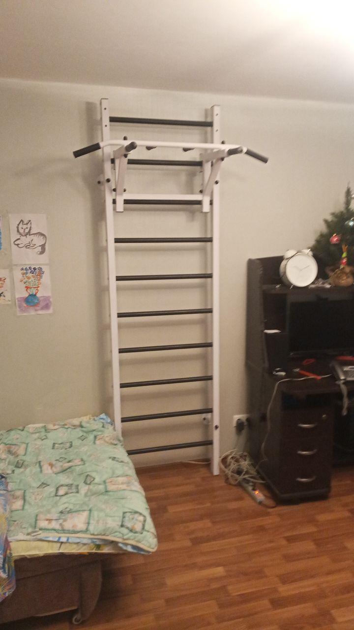 Металлическая шведская стенка 60х40, AG24