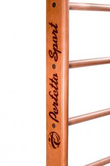 Детский спортивный комплекс (ДСК) "Perfetto sport" Molto PS-107 с тренажером Vinsere