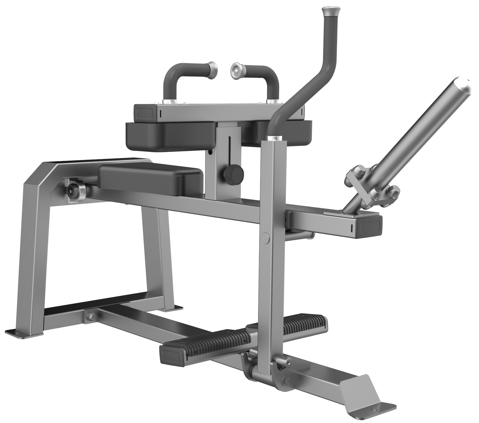 E-3062 Икроножные