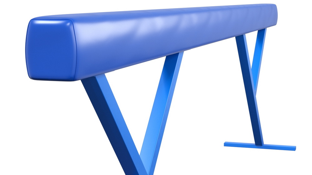 Бревно гимнастическое высокое мягкое (04.10.08)