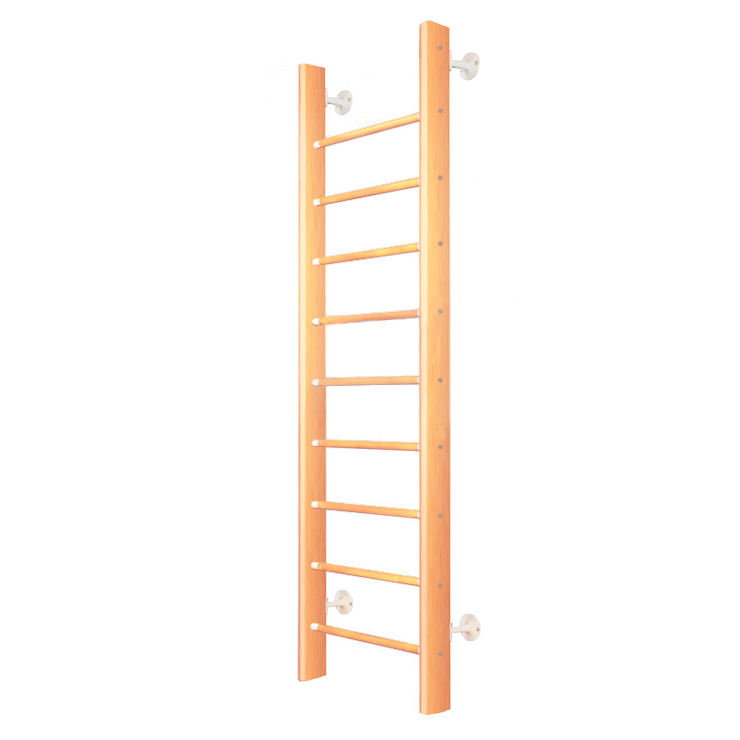 Детский спортивный комплекс Карусель 2Д.01.01-01 (2,3 х 0,65 м) Венге