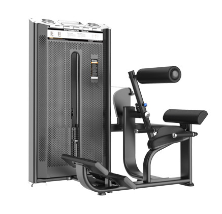 E-7031A Разгибание спины. Стек 110 кг