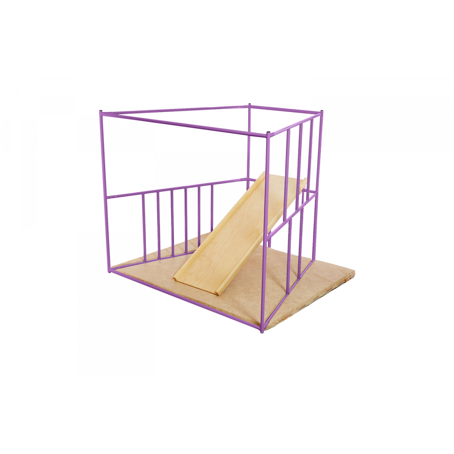 ДСК Ранний старт люкс полная комплектация цветной (фиолетовый)