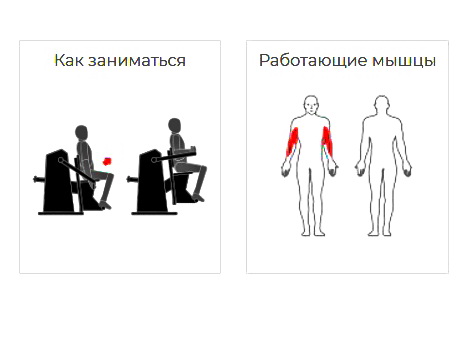 Тренажер уличный БИЦЕПС Romana 207.44.10