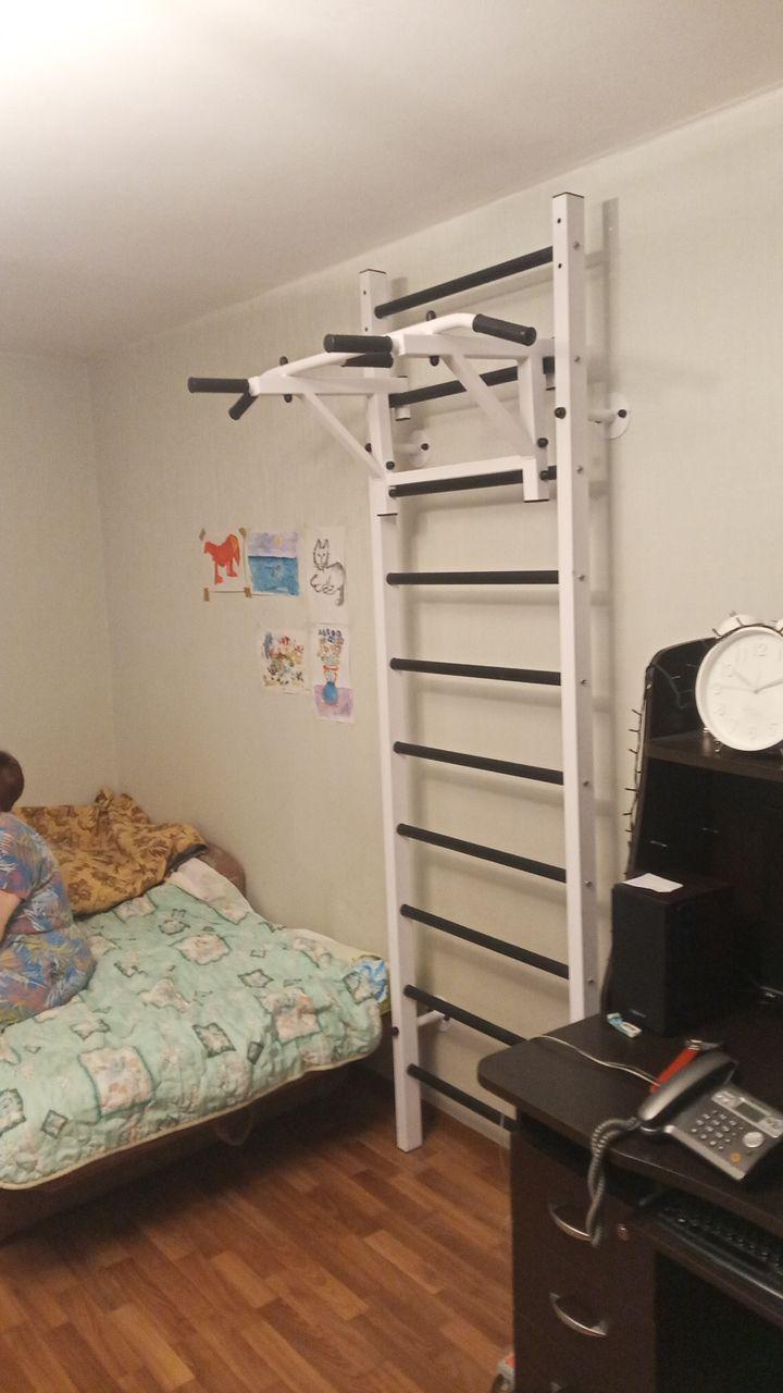 Металлическая шведская стенка 60х40, AG24