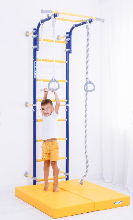 Шведская стенка Next Top ROMANA (01.21.8.06.490.03.00-24) синяя слива