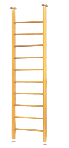 Детский спортивный комплекс "Карусель 2Д.01.01 в распор Венге