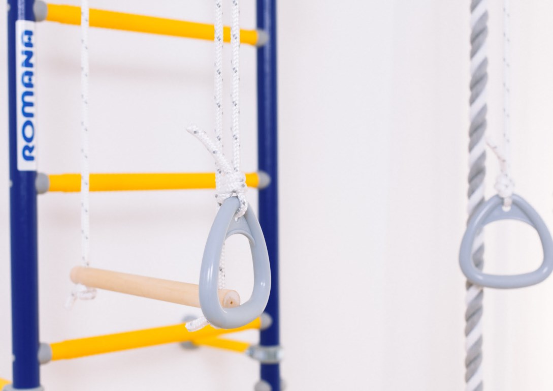 Шведская стенка Next Top ROMANA (01.21.8.06.490.03.00-24) синяя слива