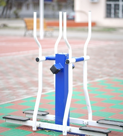 Тренажер уличный ДВОЙНЫЕ ЛЫЖИ Romana 207.21.05