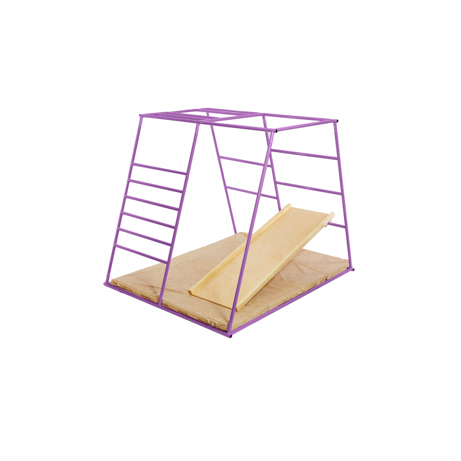 ДСК Ранний старт люкс полная комплектация цветной (фиолетовый)