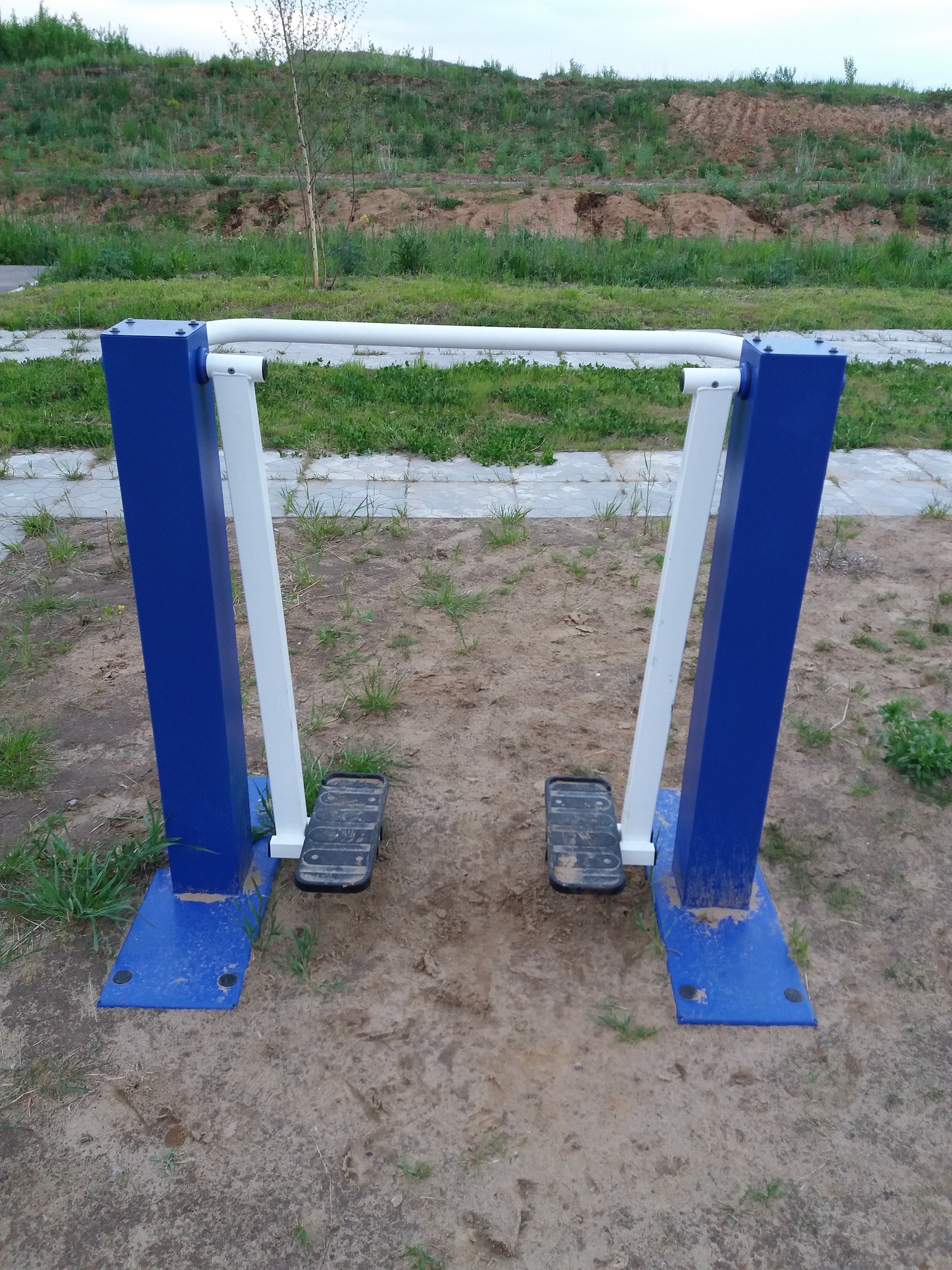 Тренажер уличный ШАГОВЫЙ Romana 207.31.05