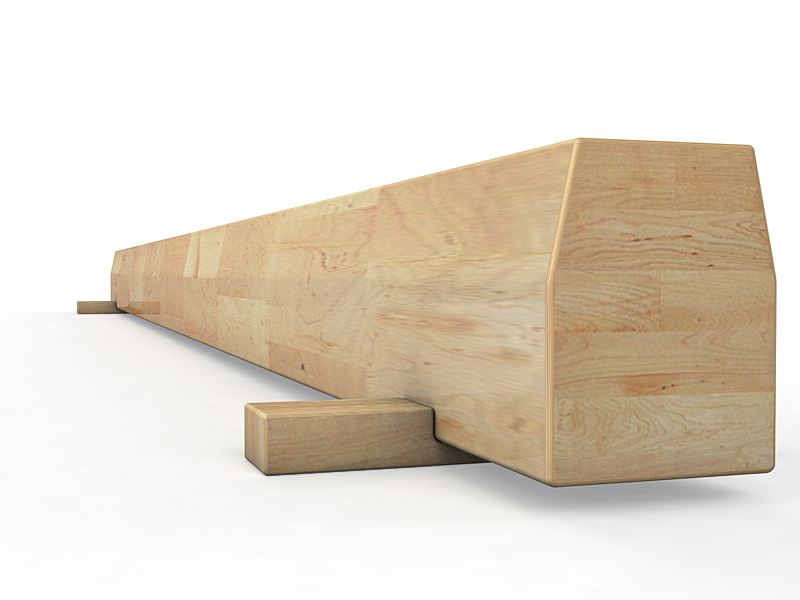 Бревно гимнастическое напольное (04.10.02)