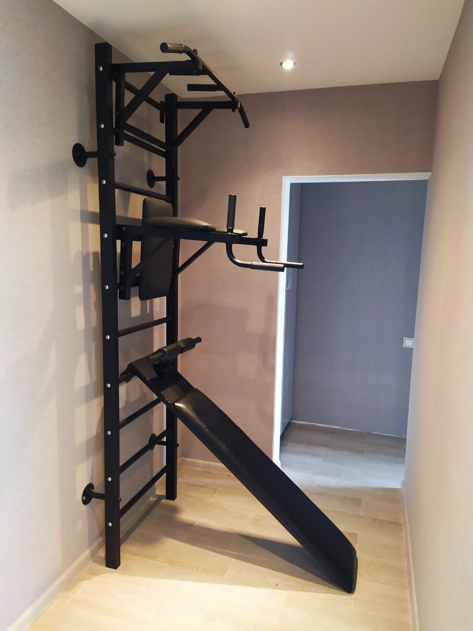 Металлическая шведcкая стенка Air Gym AG62