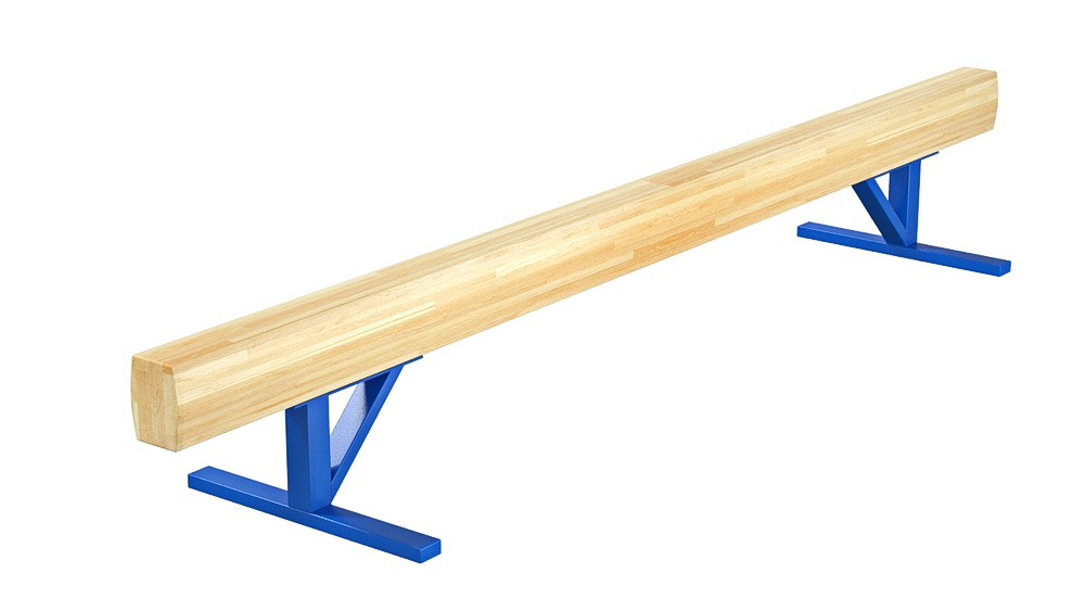 Бревно гимнастическое низкое (04.10.01)