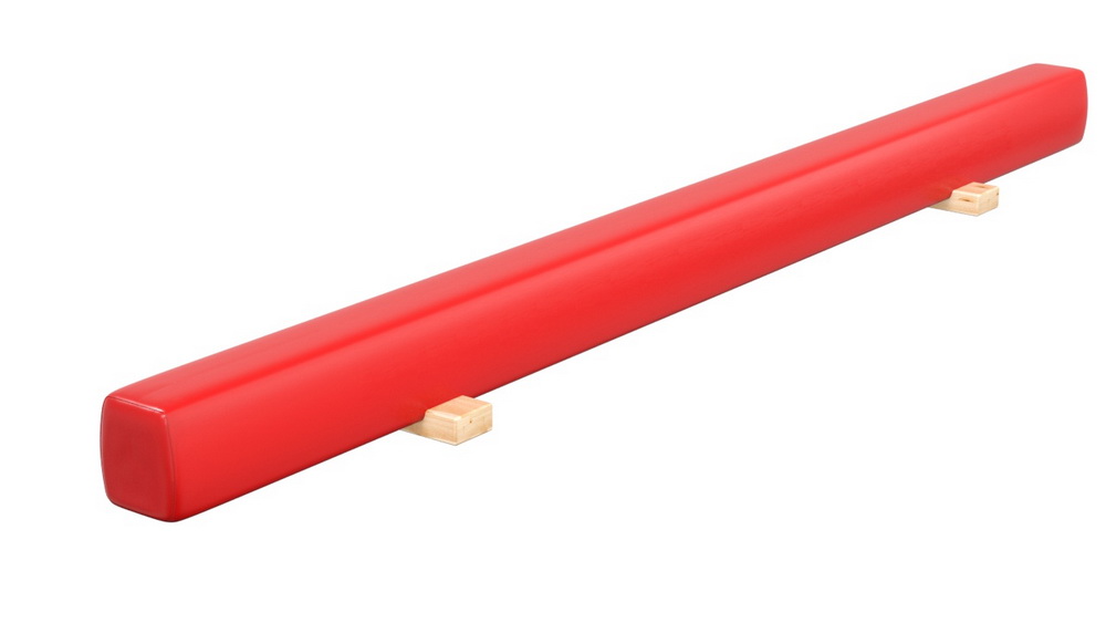 Бревно гимнастическое напольное мягкое (04.10.09)