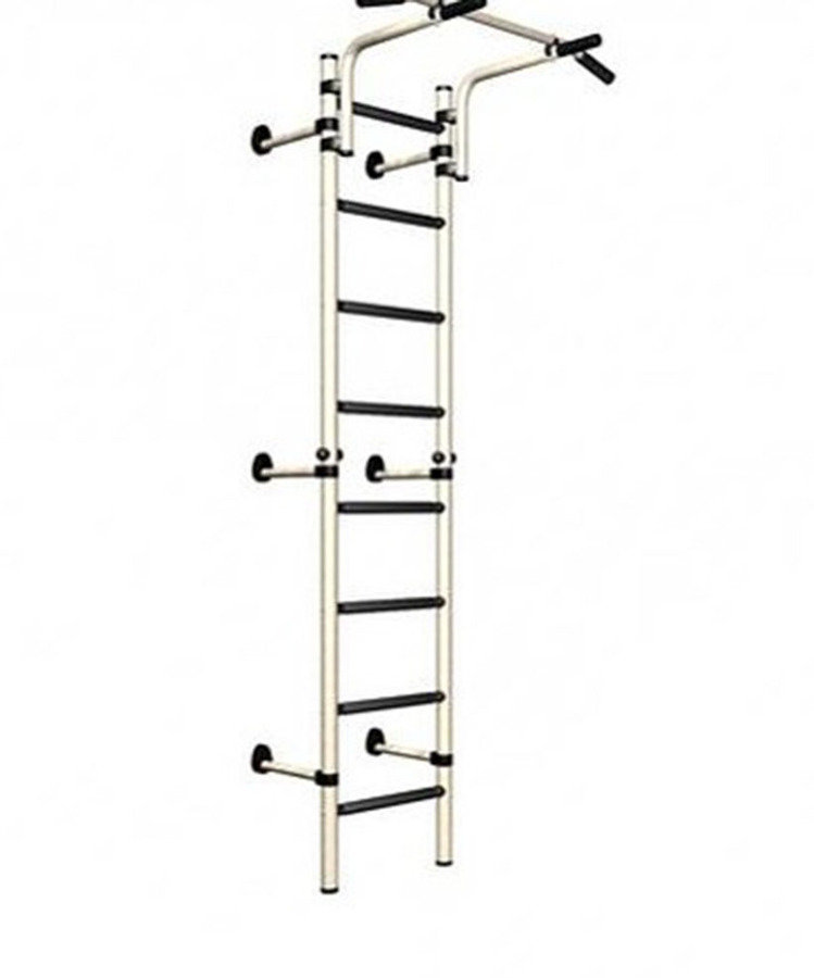 Детский спортивный комплекс ДСКМ "Тинейджер S8" (ДСКМ-2С-8.06.Г2.410.01-01) обливные белый антик золото/чёрный