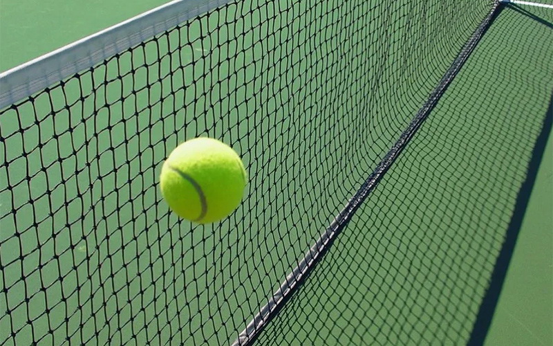 Сетка теннисная, нить D=4 мм, стальной трос (11.203)