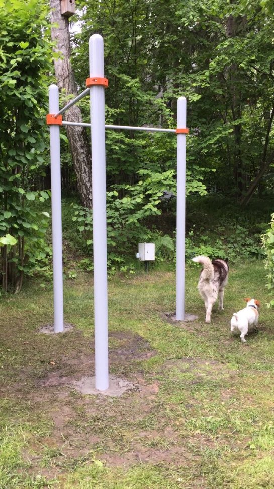 Двойной турник Г СВС-3