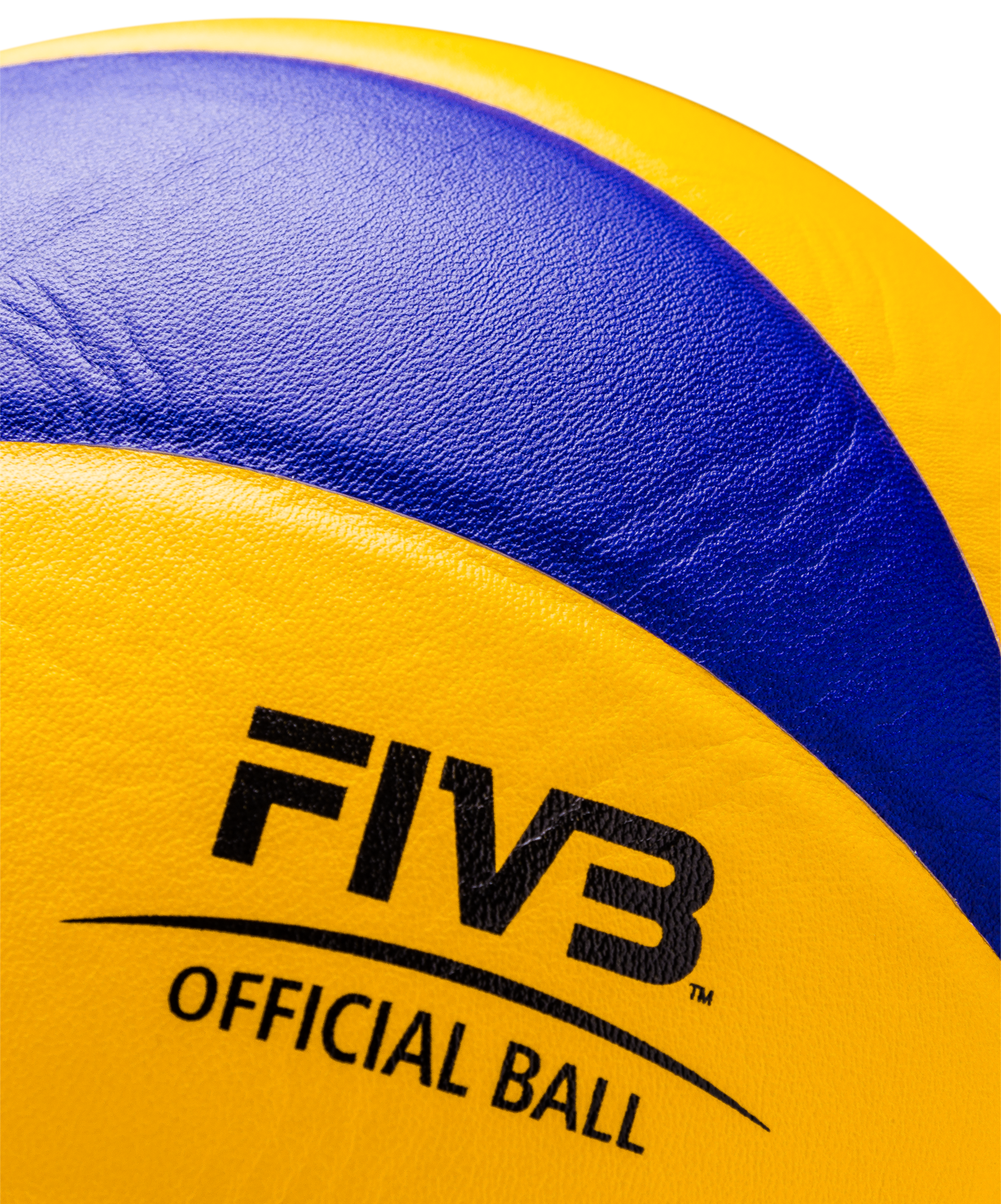 Волейбольный мяч 310