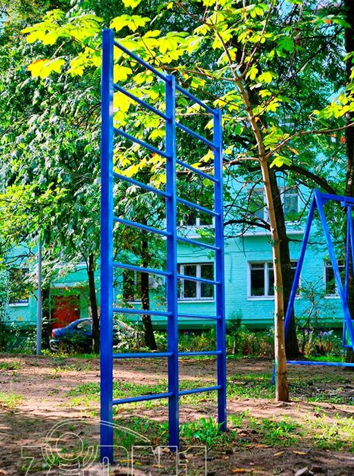 Шведская стенка ZION Школьник (СЭ004)