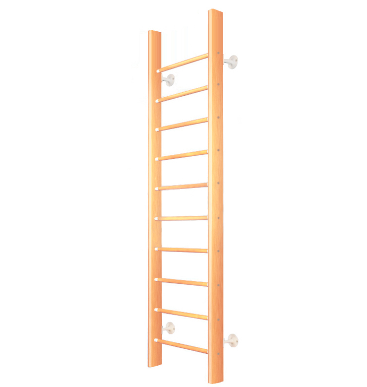 Детский спортивный комплекс Карусель 2Д.01.01-01 (2,6 х 0,65 м) Венге