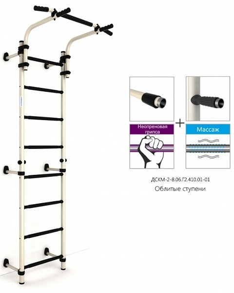 Детский спортивный комплекс ДСКМ "Тинейджер S8" (ДСКМ-2С-8.06.Г2.490.01-01) обливные белый антик золото/черный